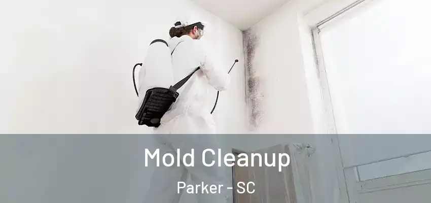 Mold Cleanup Parker - SC