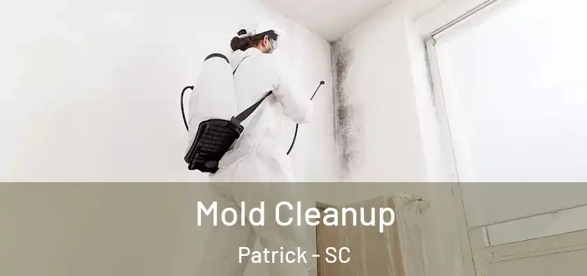  Mold Cleanup Patrick - SC