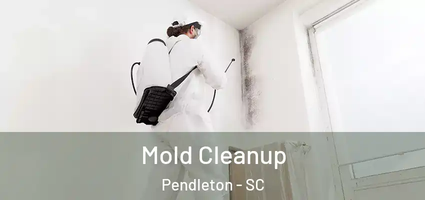  Mold Cleanup Pendleton - SC