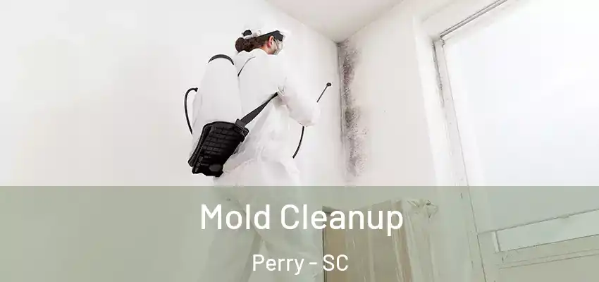 Mold Cleanup Perry - SC