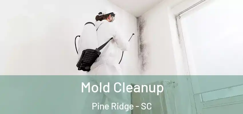  Mold Cleanup Pine Ridge - SC