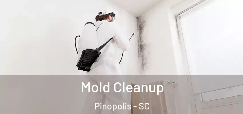  Mold Cleanup Pinopolis - SC