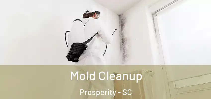  Mold Cleanup Prosperity - SC