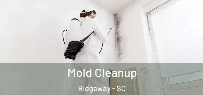  Mold Cleanup Ridgeway - SC
