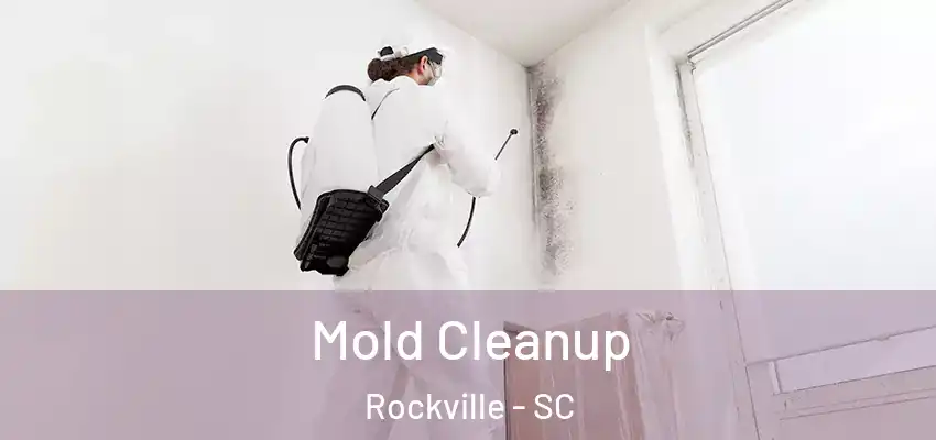  Mold Cleanup Rockville - SC