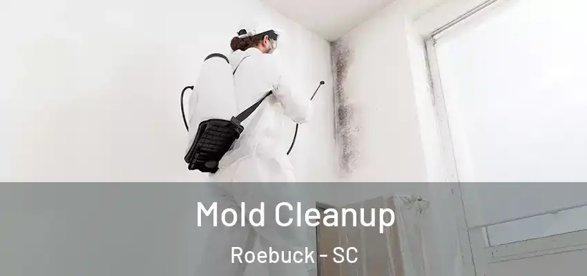  Mold Cleanup Roebuck - SC