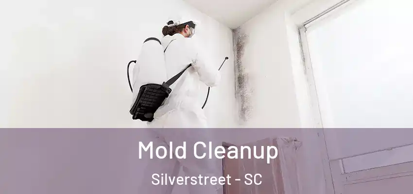 Mold Cleanup Silverstreet - SC