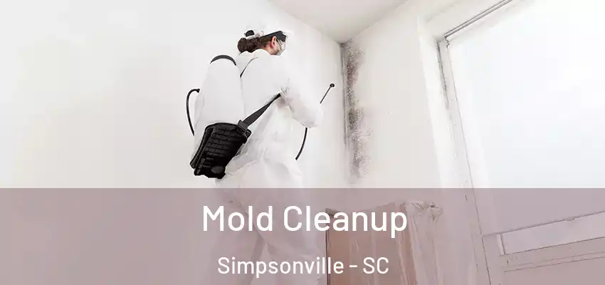 Mold Cleanup Simpsonville - SC