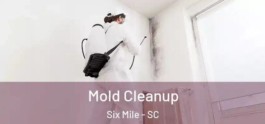 Mold Cleanup Six Mile - SC