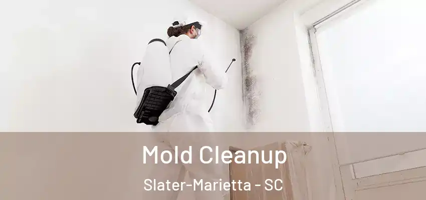  Mold Cleanup Slater-Marietta - SC