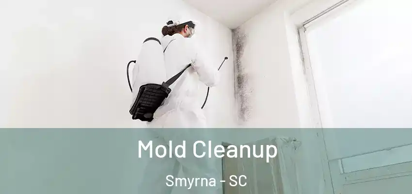 Mold Cleanup Smyrna - SC