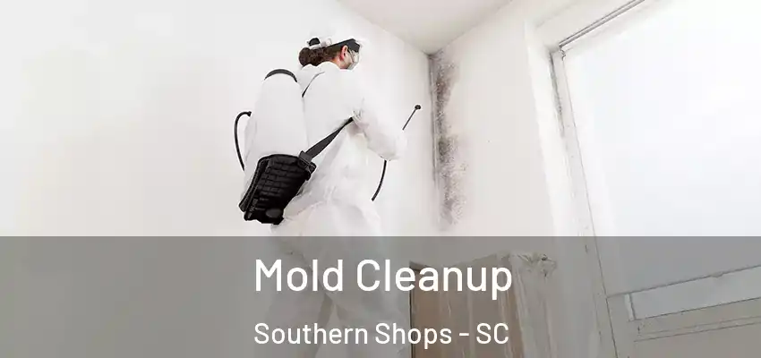  Mold Cleanup Southern Shops - SC