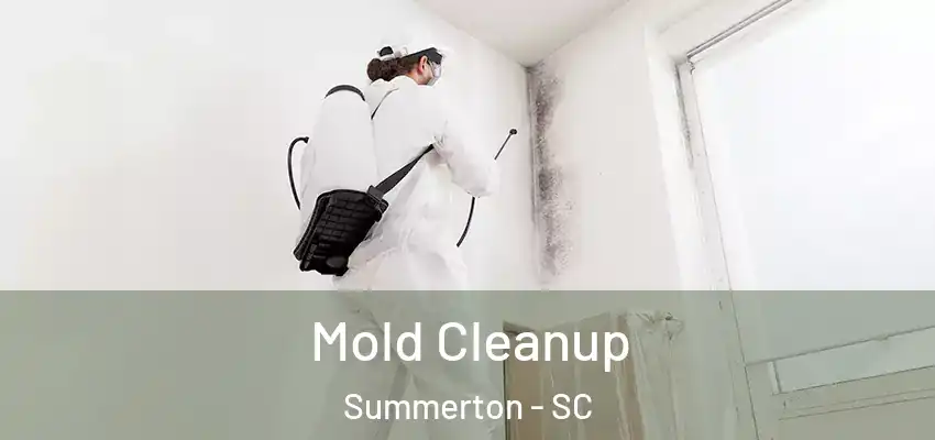 Mold Cleanup Summerton - SC