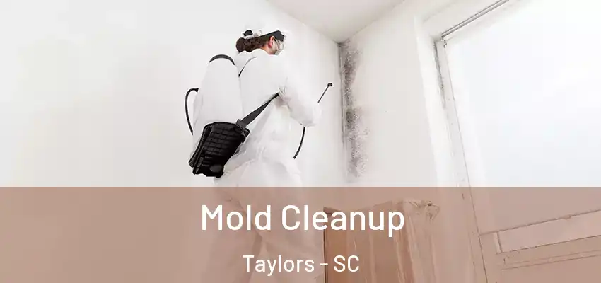  Mold Cleanup Taylors - SC
