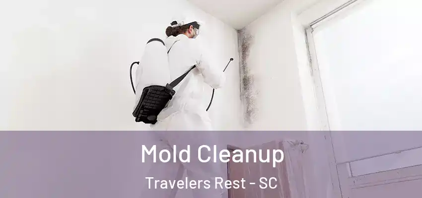  Mold Cleanup Travelers Rest - SC