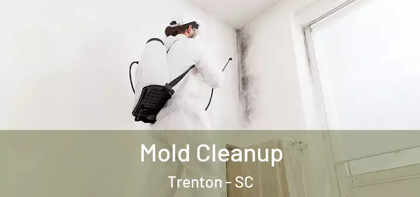  Mold Cleanup Trenton - SC