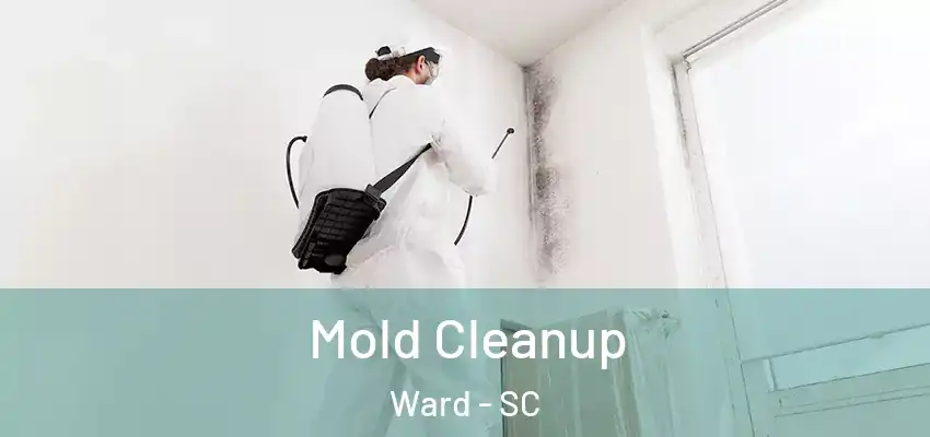 Mold Cleanup Ward - SC