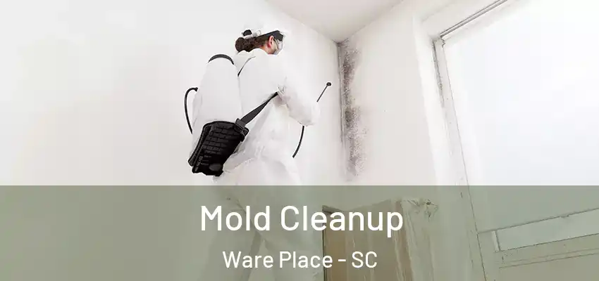  Mold Cleanup Ware Place - SC