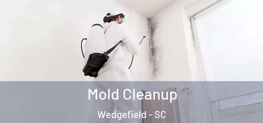 Mold Cleanup Wedgefield - SC