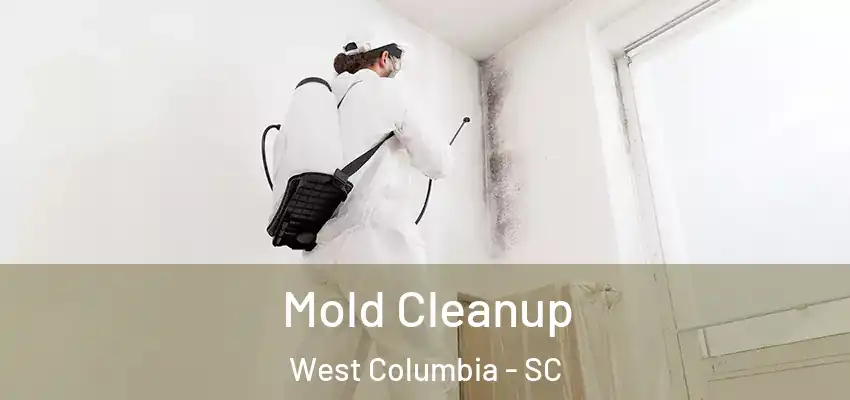  Mold Cleanup West Columbia - SC