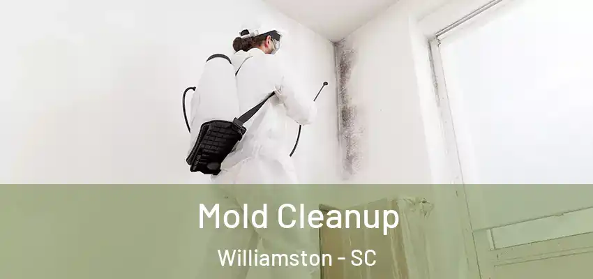  Mold Cleanup Williamston - SC