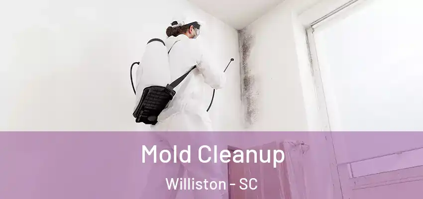 Mold Cleanup Williston - SC