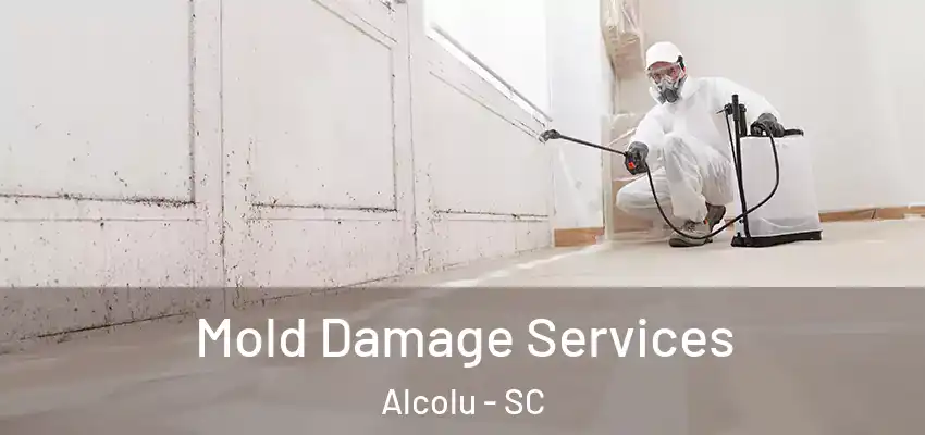 Mold Damage Services Alcolu - SC