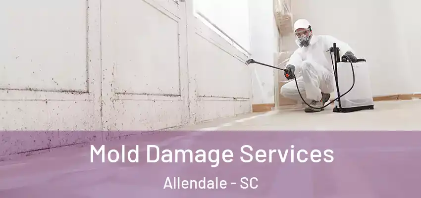  Mold Damage Services Allendale - SC