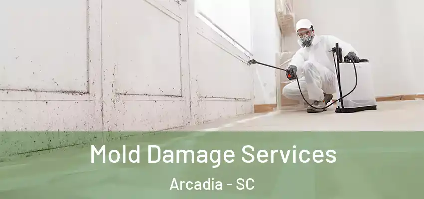 Mold Damage Services Arcadia - SC