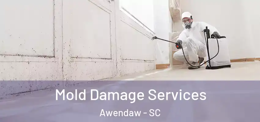  Mold Damage Services Awendaw - SC