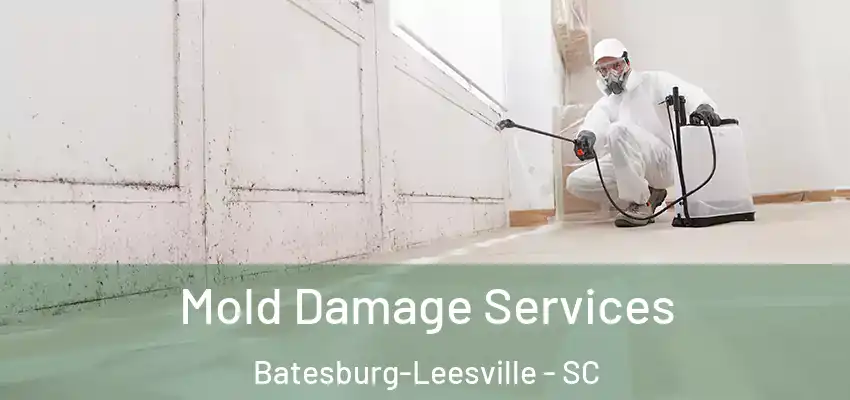  Mold Damage Services Batesburg-Leesville - SC