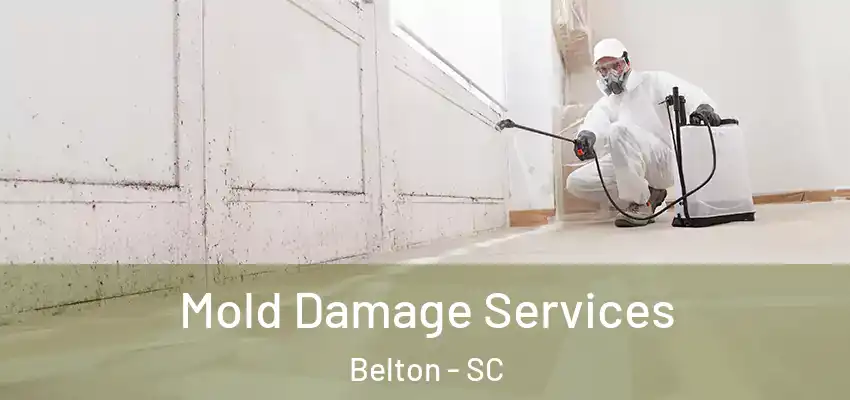Mold Damage Services Belton - SC