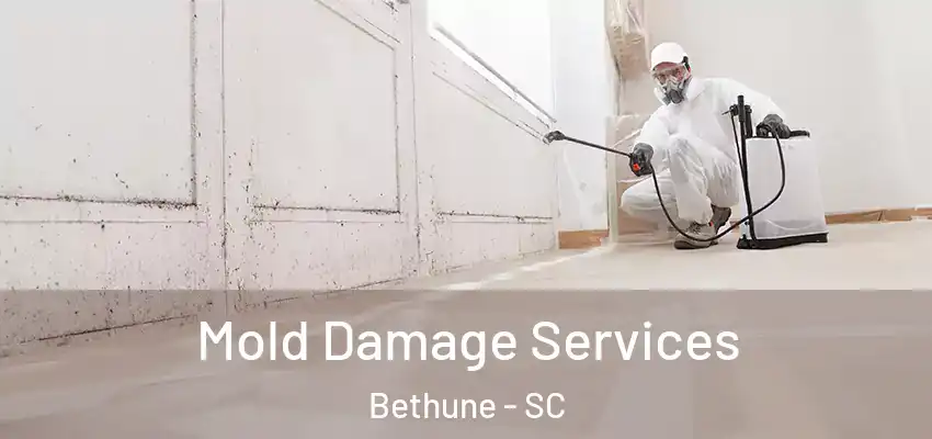  Mold Damage Services Bethune - SC