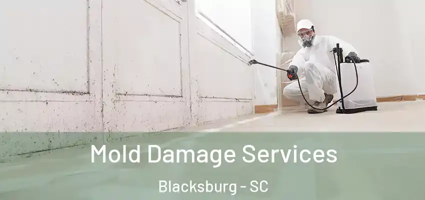 Mold Damage Services Blacksburg - SC
