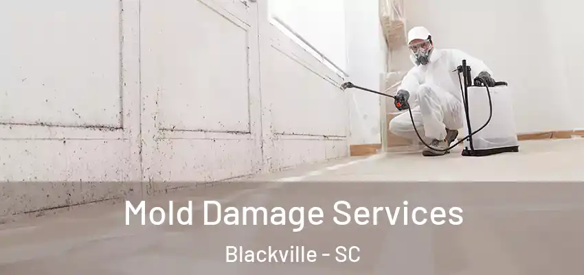  Mold Damage Services Blackville - SC