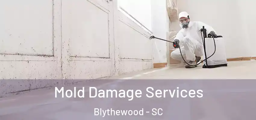  Mold Damage Services Blythewood - SC