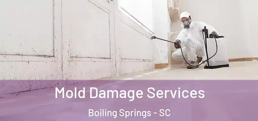  Mold Damage Services Boiling Springs - SC