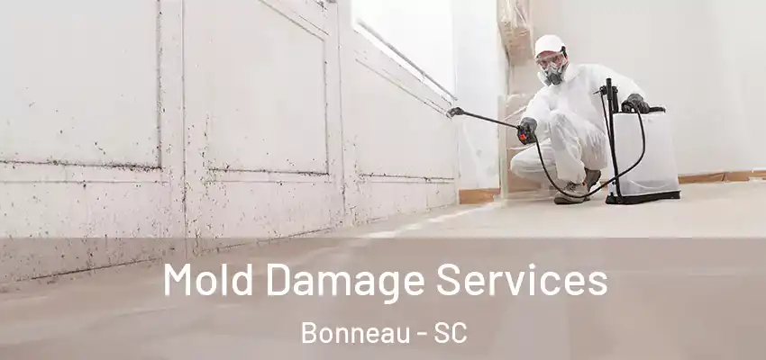  Mold Damage Services Bonneau - SC
