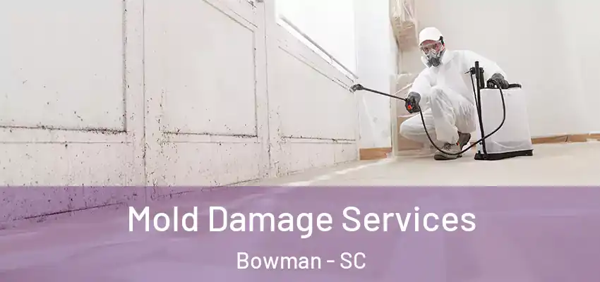  Mold Damage Services Bowman - SC