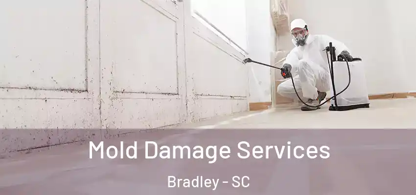  Mold Damage Services Bradley - SC
