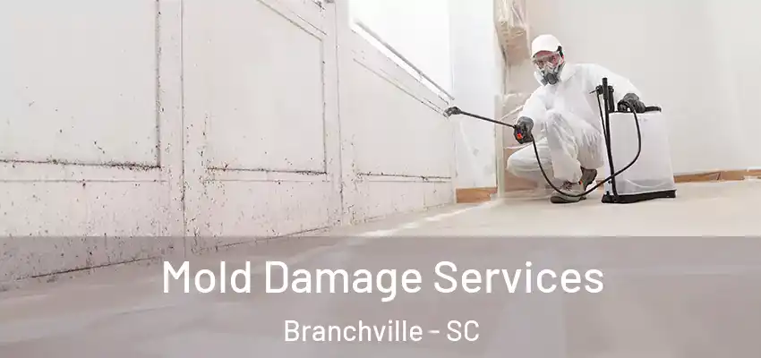  Mold Damage Services Branchville - SC