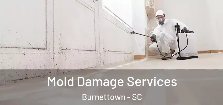  Mold Damage Services Burnettown - SC