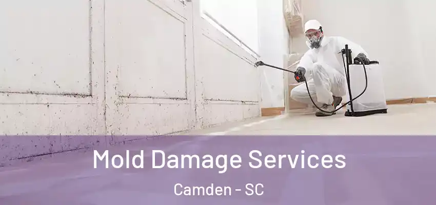 Mold Damage Services Camden - SC