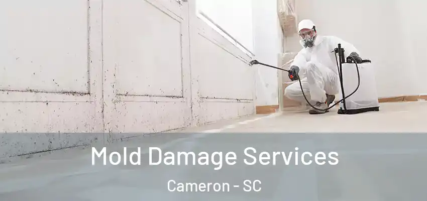  Mold Damage Services Cameron - SC