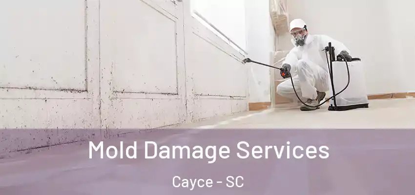 Mold Damage Services Cayce - SC