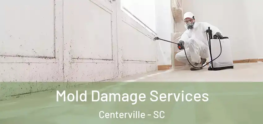 Mold Damage Services Centerville - SC