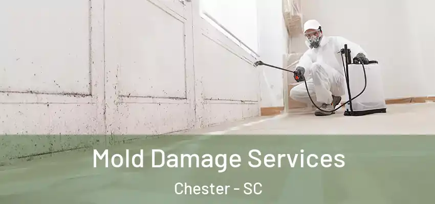 Mold Damage Services Chester - SC