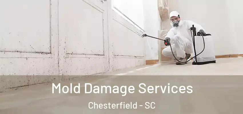  Mold Damage Services Chesterfield - SC