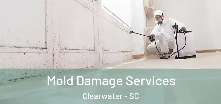 Mold Damage Services Clearwater - SC