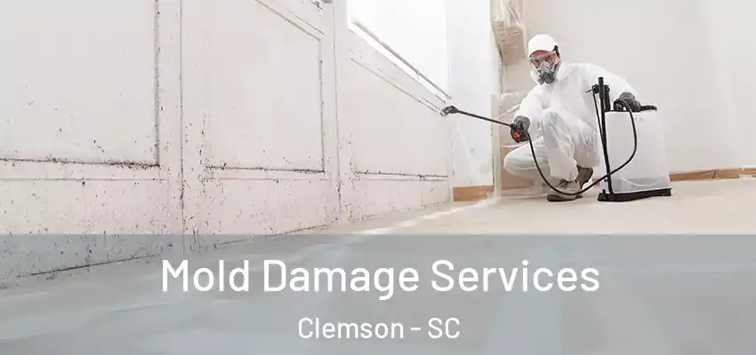  Mold Damage Services Clemson - SC